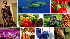 Find Sri Lankan Export Products/Services