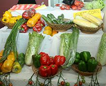 Fruit & Vegetables Fruit & Vegetables