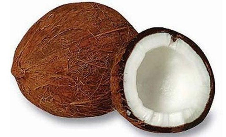 Rise in coconut product exports