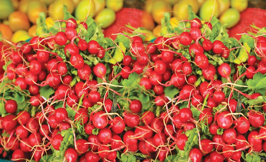Healthiest Fruits from Sri Lanka