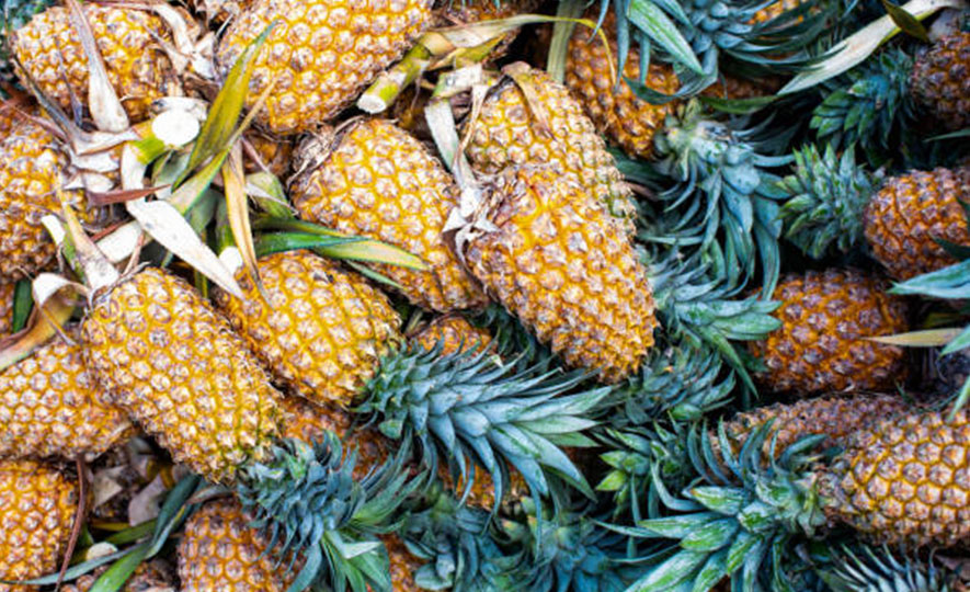 Phytosanitary Requirements for Imported Fresh Pineapple from Sri Lanka to China