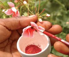 Floriculture Products Floriculture Products