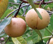 Organic Products Organic Products
