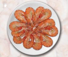 Seafood Seafood