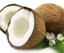 Coconut and Coconut based Products Coconut and Coconut based Products