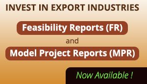 INVEST IN EXPORT INDUSTRIES INVEST IN EXPORT INDUSTRIES