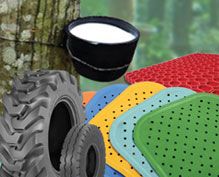 Rubber Rubber
