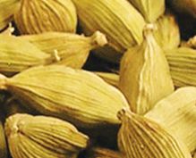 Cardamom Cardamom
