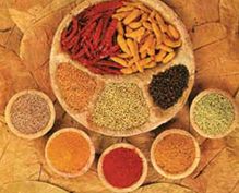 Sri lankan spices and allied products Sri lankan spices and allied products