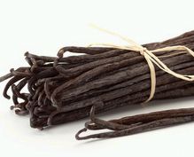 Vanilla Vanilla