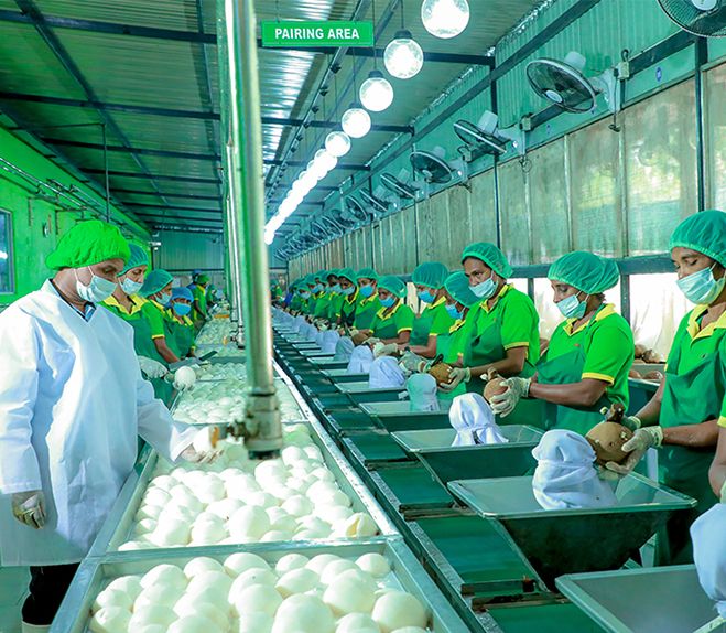 Coconut & Coconut based Products Exporters in Sri Lanka