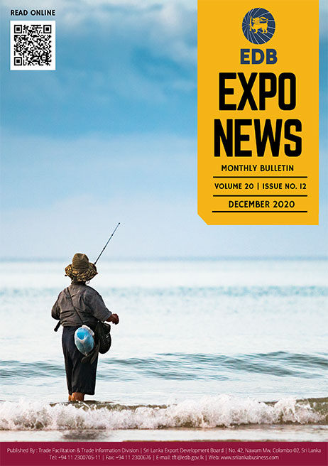 Expo News 2020 December