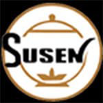 SUSEN INTERNATIONAL PVT LTD