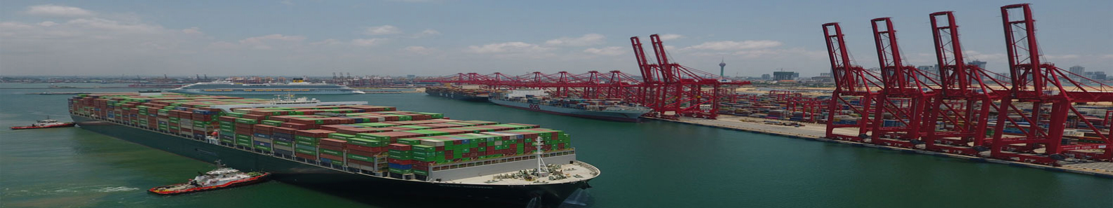 COLOMBO INTERNATIONAL CONTAINER TERMINALS LTD