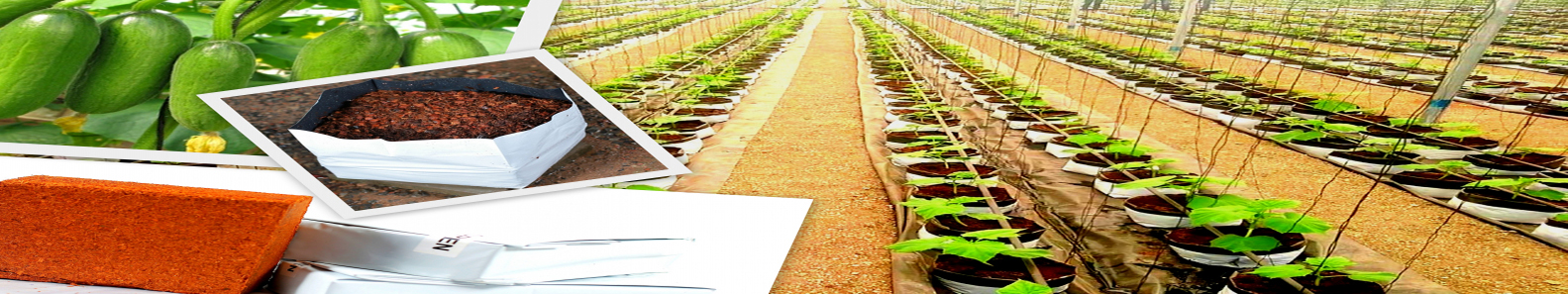 GREEN SPACE LANKA PVT LTD