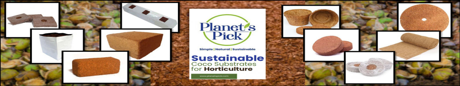 PLANETS PICK HOLDINGS PVT LTD