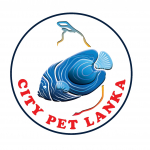 CITY PET LANKA