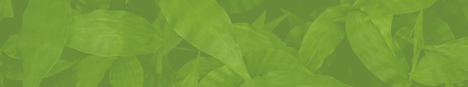 HVA LANKA EXPORTS PVT LTD