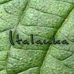 ITALANKA FOLIAGE EXPORTS PVT LTD