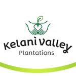 KELANI VALLEY PLANTATIONS PLC