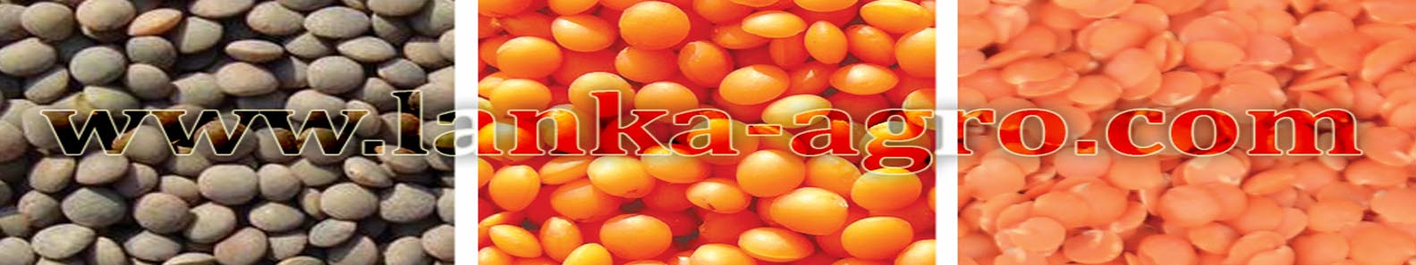 LANKA AGRO PROCESSING PVT LTD