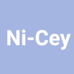 NI-CEY INTERNATIONAL PVT LTD