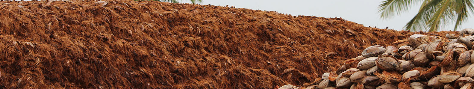 QUALITY COIR INTERNATIONAL PVT LTD