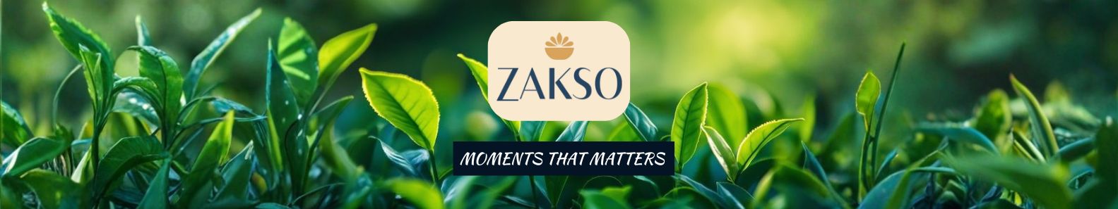 ZAKSO HOLDINGS PVT LTD