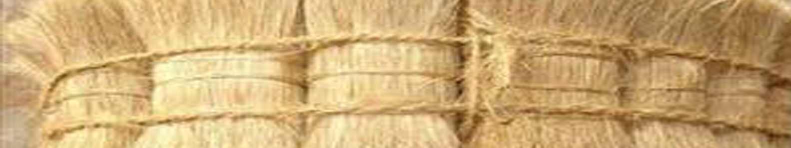 ANSTONS PVT LTD