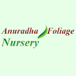 ANURADHA FOLIAGE NURSERY