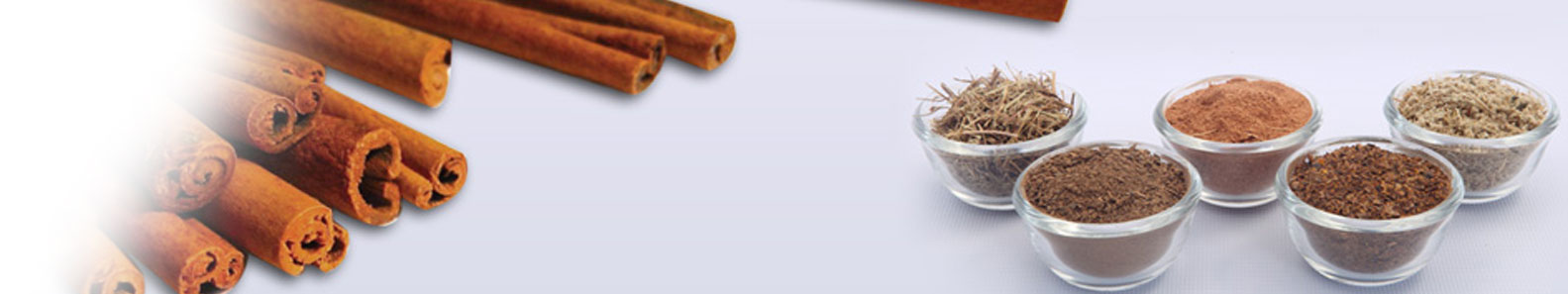 APEIRON LANKA PVT LTD