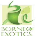 BORNEO EXOTICS PVT LTD