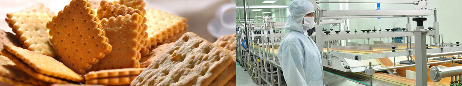 CEYLON BISCUITS LTD