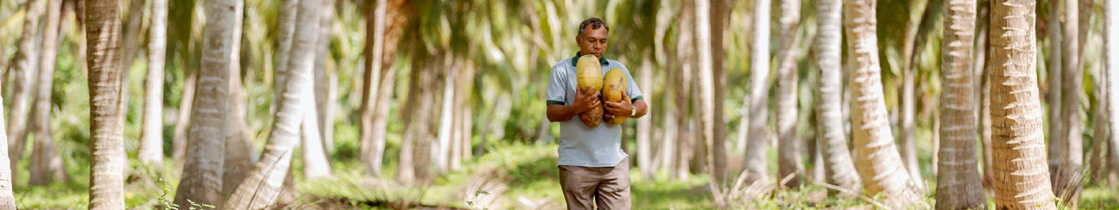CEYLON COCO INFRESH PVT LTD
