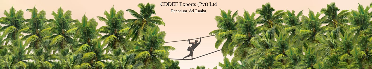 C D D E F EXPORTS PVT LTD