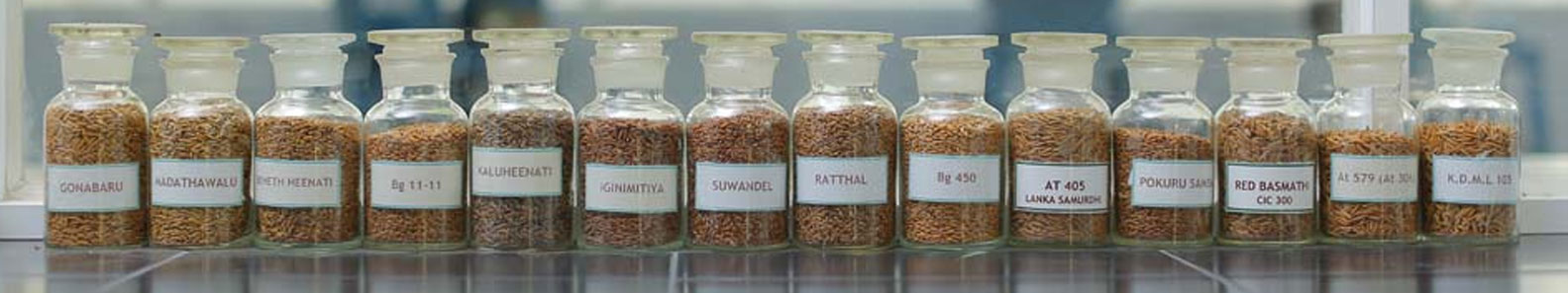 CIC SEEDS PVT LTD
