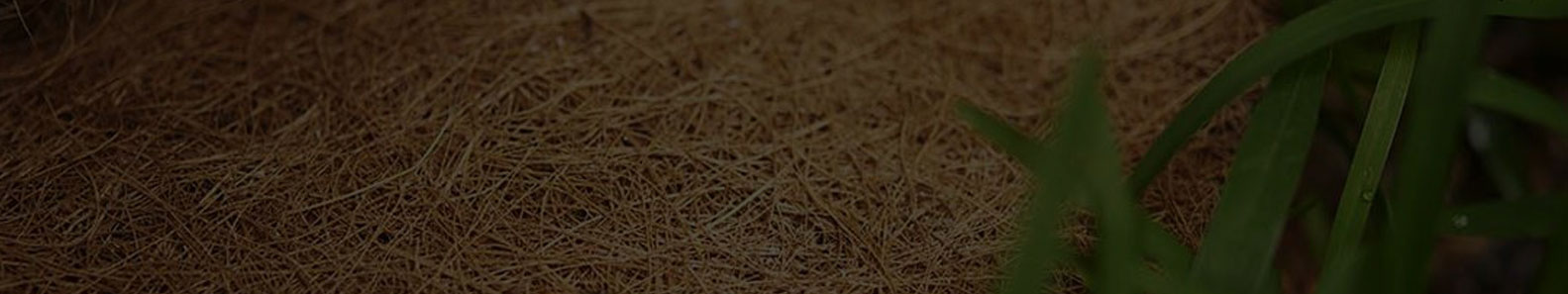 COLOMBO QUALITY COIR PRODUCTS PVT LTD