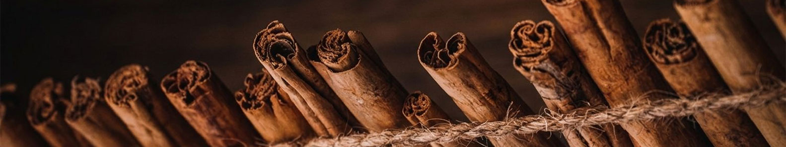 THE CEYLON SPICE HAVEN PVT LTD