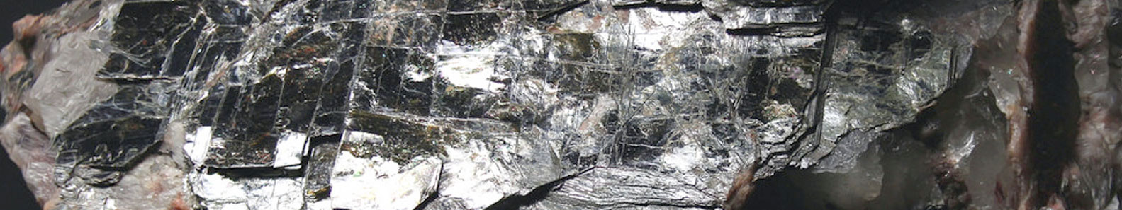 DAMSILA EXPORTS PVT LTD