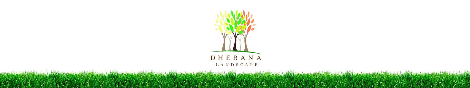 DERANA INTERNATIONAL PVT LTD