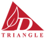 D TRIANGLE PVT LTD