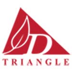 D TRIANGLE PVT LTD