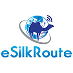 E SILK ROUTE VENTURES PVT LTD