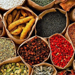 EXPO CEYLON & TRADING PVT LTD