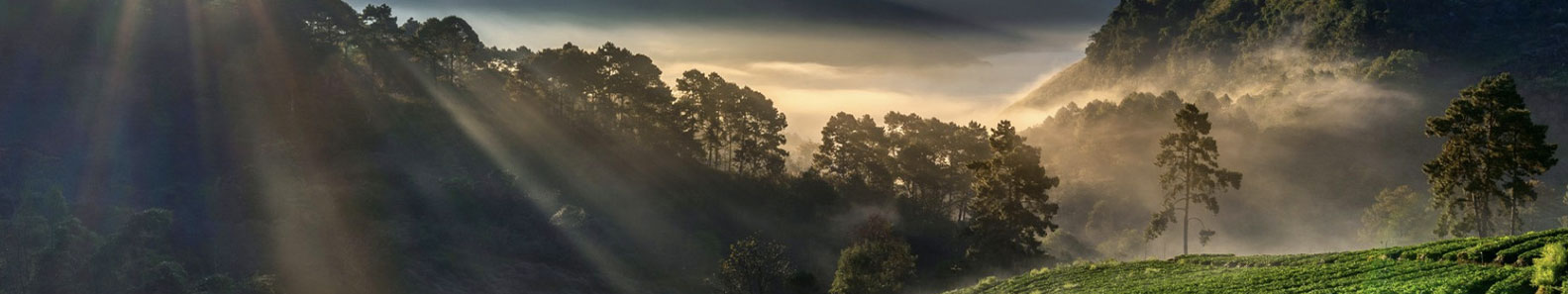 ETHICAL EXTRACTS PVT LTD