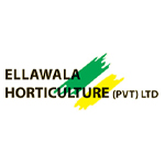 ELLAWALA HORTICULTURE PVT LTD