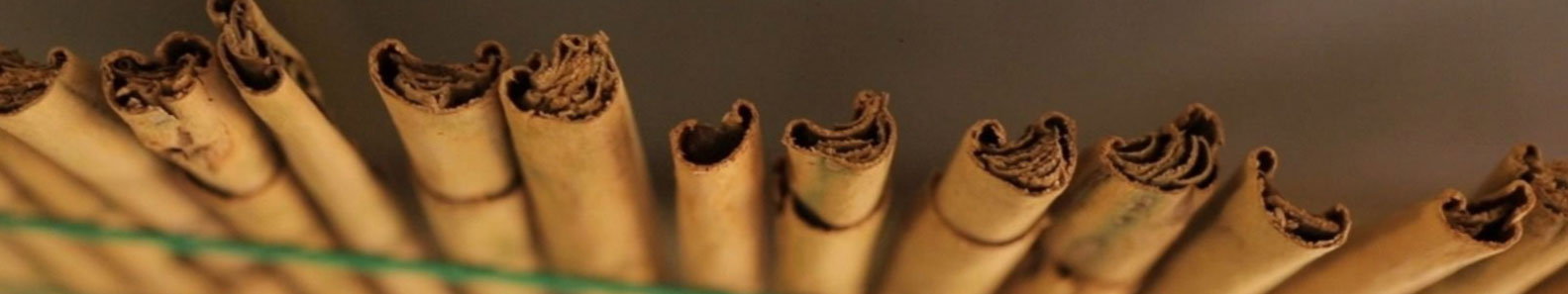 EXCELLENSA IMPEX PVT LTD