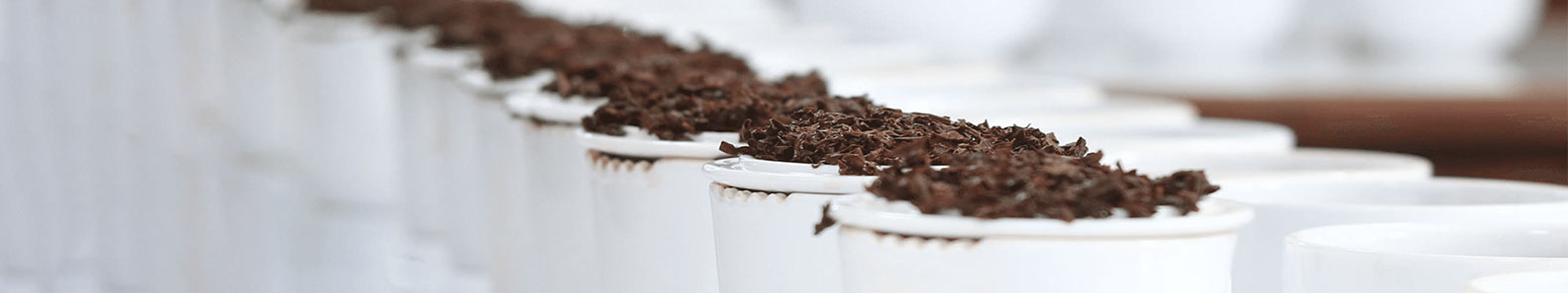 FORTHRIGHT TEAS PVT LTD