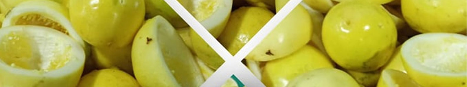 GREAT FROZEN PVT LTD