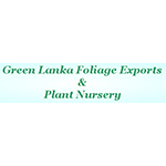 GREEN LANKA FOLIAGE EXPORTS